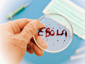 Казахстанские врачи разработали план борьбы с вирусом Эбола