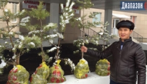Спасённый пациент подарил больнице 4 тысячи деревьев